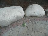 Belgard's Dublin Stone with Old Dominion 'rustic blend' border