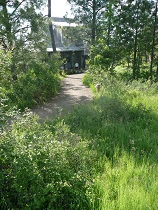 Lighted pathway meandering through native vegetation
