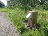 Outdoor path lighting tucked into natural grasses