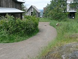 Clay pathway running through native grass