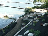 landscaping overlooking the path to the firepit and the lake