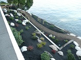 Top-down view of the landscaped hillside