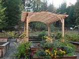 Garden trellis over raised planters