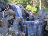 Grasses in the foreground with water feature in the background