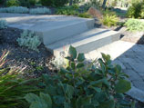 Walkway stairs merged with paver walkway