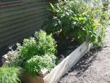 Custom wood garden box