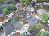 Multiple tiered water feature