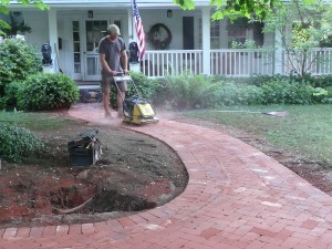 Compacting pavers again with nervous turtle.