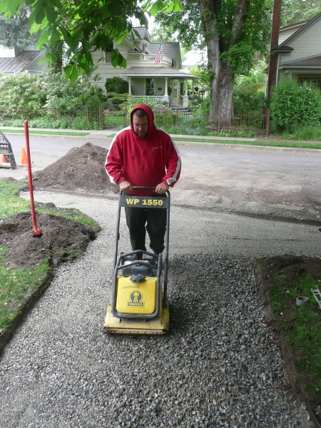 Nervous turtle compacting 3/4 inch minus gravel.