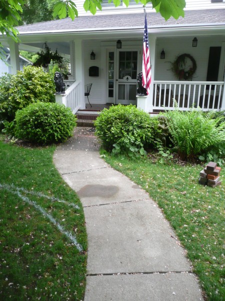 Old concrete walkway at the onset of the project.