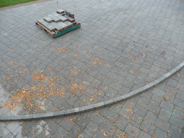Lay out pavers that will be cut in along the measured line