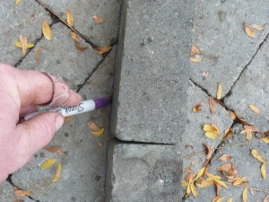 Outline both sides of the pavers