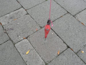 Using the plum bob to center the three point line measurements to the basket