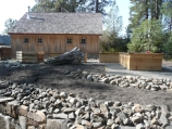 Large stump incorporated into landscape