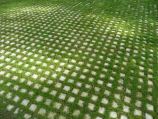 Square pavers in grass for a lattice pattern